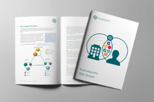 ValueMatch Spiral Dynamics Kultur-Assessment