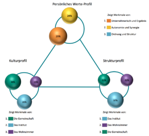 ValueMatch Spiral Dynamics Kultur-Assessment