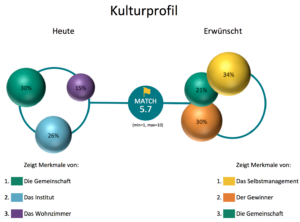 ValueMatch Spiral Dynamics Kultur-Assessment