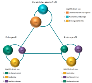 ValueMatch culture profile Reinventing Colors