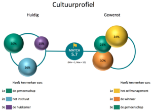 ValueMatch Spiral Dynamics cultuurassessment