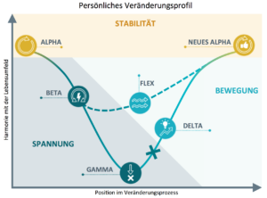 ValueMatch Veränderungsprofil